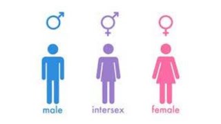 What Is Intersex Here Is What The Term Means And How It Can Appear [upl. by Lozar]