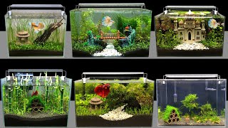 New 3 Feet Fish Tank Setup amp Adding Fish  Aquarium Decoration [upl. by Nedmac]