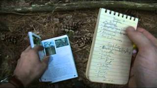 Foraging Edible Plants  Yarrow  Wild Food [upl. by Yurt896]