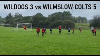 Dogs vs Wilmslow Colts 8 9 24 [upl. by Anse]