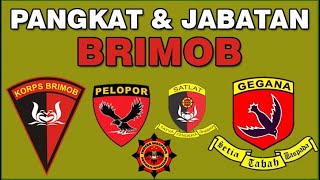 Pangkat dan Jabatan Brimob [upl. by Malanie998]