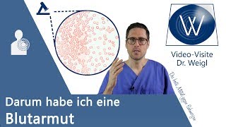 Anämie Wieso können wir Alle eine Blutarmut bekommen Ursachen Symptome amp Behandlung [upl. by Arba]