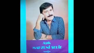 Aşık Mahzuni Şerif  Deli Miyim Ben [upl. by Kristyn471]