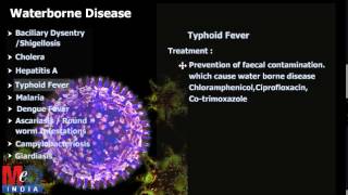 Types of Waterborne Diseases [upl. by Reizarf]