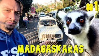 MADAGASKARAS 1 ATŠAUKTAS SKRYDIS IR LEMŪŪŪŪŪRAI [upl. by Anegal]