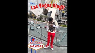 Las Vegas BDay Vlog Part 1 [upl. by Thedric686]