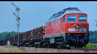 Jensis Welt SpezialQuassel Video Montag 172024Teil 1Trainspotting und mehr [upl. by Hatty653]