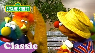 Ernie and the Honker Ducky Dinger Jamboree Song  Sesame Street Classic [upl. by Sapienza]