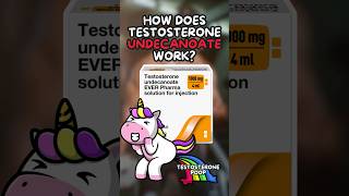 How does Testosterone Undecanoate Work [upl. by Raveaux658]