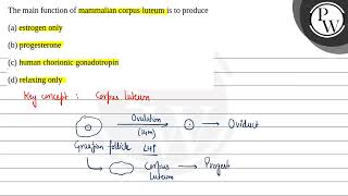 The main function of mammalian corpus luteum is to producea estrogen onlyb progesteronec h [upl. by Burkitt985]