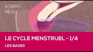 Le cycle menstruel  Les bases [upl. by Nevur]