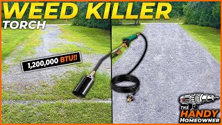 I Tried The Easiest DIY Weed Killer [upl. by Airrotal38]