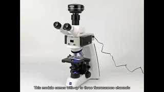 Multichannels fluorescence attachment for Zeiss PrimoStar 3 microscope [upl. by Regina956]