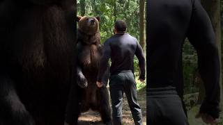 How STRONG is a BEAR Compared to a HUMAN animals wildlife bears shorts [upl. by Ecallaw]