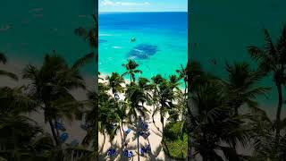 🇩🇴 Viva Wyndham Dominicus Beach Resort 🌴short shorts beach bayahibe shortsvideo shortvideo [upl. by Sherj]