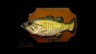 Gemmy Billy Bass Animatronic Fish Singing quotDont Worry be happywmv [upl. by Imac104]