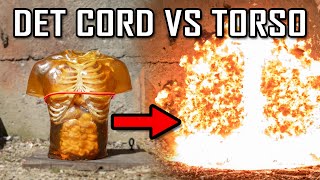 Det Cord vs Ballistic Torso in Ultra Slow Motion [upl. by Aneelas]