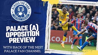 Palace vs Everton Opposition Preview [upl. by Acimot]