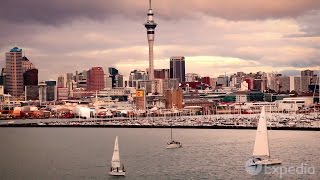 Auckland  City Video Guide [upl. by Arsuy]