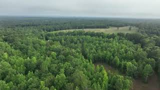 168 Acres in Woodland AL [upl. by Lougheed]