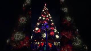 Magical Christmas Tree lighting at Disneyland Paris 2023 disneylandparis eurodisney disneyparks [upl. by Akinor]