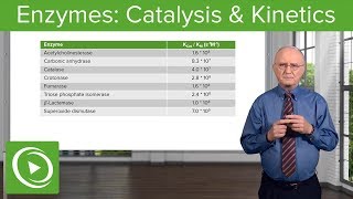 Enzymes Catalysis Kinetics amp Classification – Biochemistry  Lecturio [upl. by Dacie]