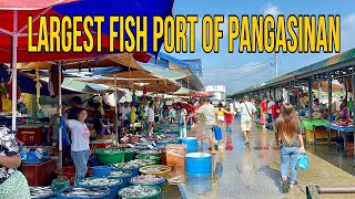 Magsaysay Fish Port in Dagupan  Largest Fish DropOff Point in Dagupan Pangasinan Philippines [upl. by Chita]