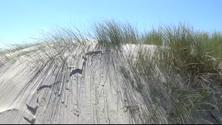 Amrum im August 2016 [upl. by Kcinomod]