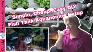 Simple Cheap Easy DIY Fish Tank Aquaponics Setup [upl. by Schuler968]