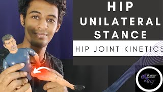 HIP JOINT UNILATERAL STANCE HIP COMPLEX BIOMECHANICSPhysiotherapy Tutorials [upl. by Pascoe71]