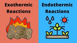 Exothermic vs Endothermic Chemical Reactions [upl. by Marcus]