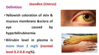 Bile Pigments And Jaundice [upl. by Annaegroeg]