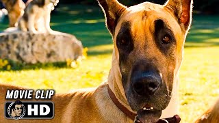 MARMADUKE Clip  quotHomequot 2010 Owen Wilson [upl. by Annelak]