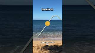 Breathing for Stress 46 breathingtechnique breathingexercises [upl. by Lytton136]