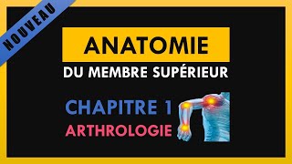 Anatomie Du Membre Supérieur  Chapitre 1  Arthrologie [upl. by Staffan]