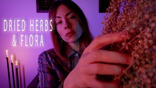 Crisp Flora Sounds  Grasping  Sweeping  Tapping  Energy Work ASMR [upl. by Vander]