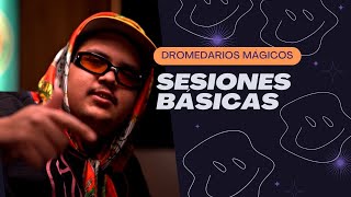 SESIONES BÁSICAS PRESENTA DROMEDARIOS MÁGICOS  EPISODIO 1 [upl. by Brina610]