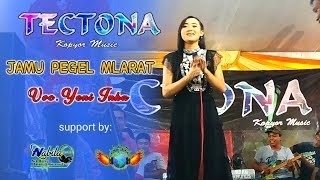 JAMU PEGEL MLARAT YENI INKA  ADELLA  LIVE SAMBENG 2019 [upl. by Chan668]