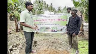 Demonstration on Pairing and Pralinage in Banana [upl. by Ramunni]