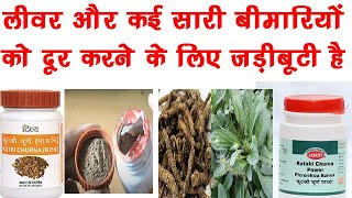 Kutki Churna Many BenefitsDosageSide Effects  Picrorhiza kurroa  Patanjali Divya Kutki [upl. by Ystap]