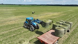 CANADIAN FARMER  INVASION LEAFHOPPERS blew in from down south No time to waste Harvest quickly [upl. by Ylicic999]