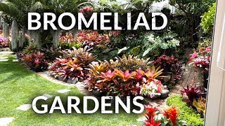 BROMELIAD GARDENS [upl. by Atsocal]