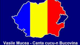 Vasile Mucea  Canta cucun Bucovina [upl. by Greiner484]