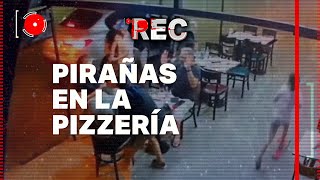 PIRAÑAS EN LA PIZZERÍA  VECINA AMENAZA CON UN FIERRO A LOS LADRONES  🔴REC [upl. by Bred822]