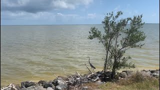 Exploring Playalinda Beach Merritt Island National Seashore Mosquito Lagoon and Biolab Road [upl. by Gehman]