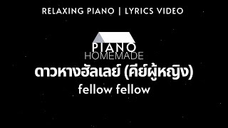 fellow fellow  ดาวหางฮัลเลย์ Halleys Comet  Relaxing Piano  Lyrics Video [upl. by Hinda432]