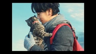 世界から猫が消えたなら 特別最新映像 [upl. by Eiramac]