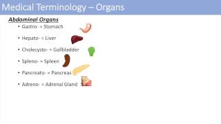 Medical Terminology  The Basics  Lesson 1 [upl. by Arenahs243]