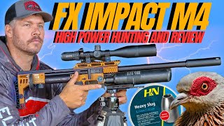 FX IMPACT M4 HUNT AND REVIEW I HIGH POWER AIRGUN HUNTING WITH FX IMPACT M4 I AIRGUN PEST CONTROL [upl. by Kassity]