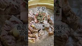 牛肉加“3草”，味道嘎嘎好！ 酱牛肉牛肉美食 [upl. by Idoux]